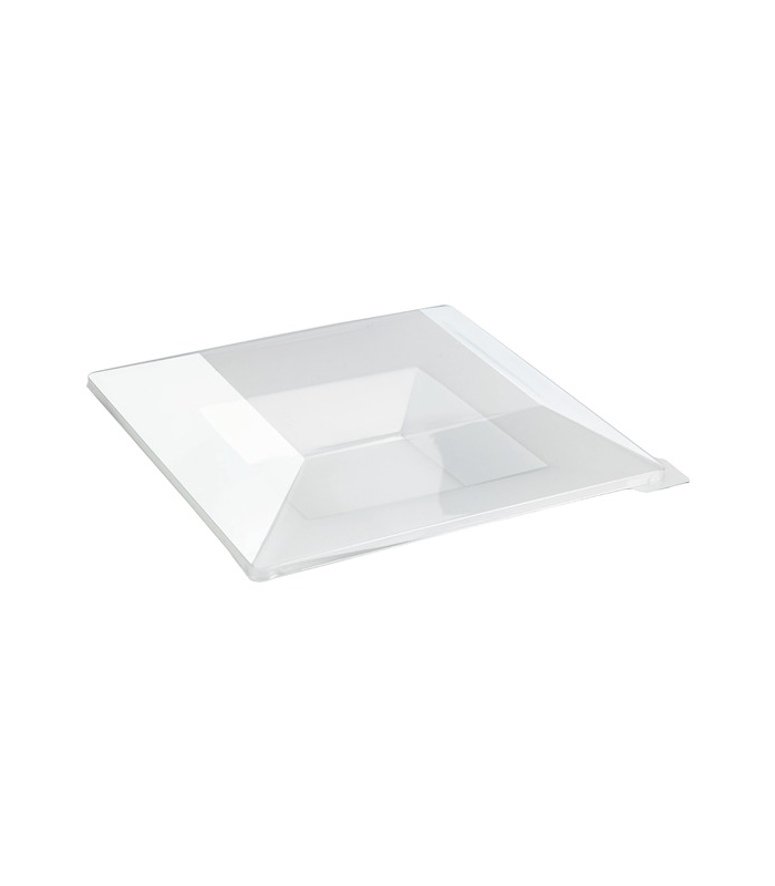 Assiette réemployable plastique PP carrée creuse givrée micro-ondable  215x215mm H40mm 350ml - 60Pcs