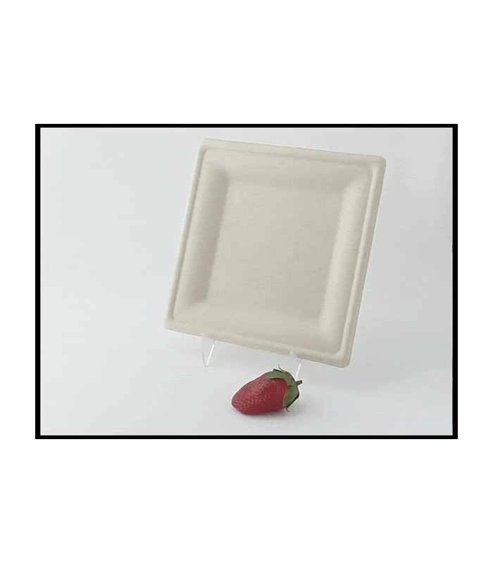 Assiette carrée blanche en pulpe  205x205mm - 500Pcs