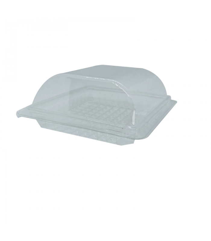 Boite plastique transparente avec couvercle charnière  150x140mm H57mm - 300Pcs