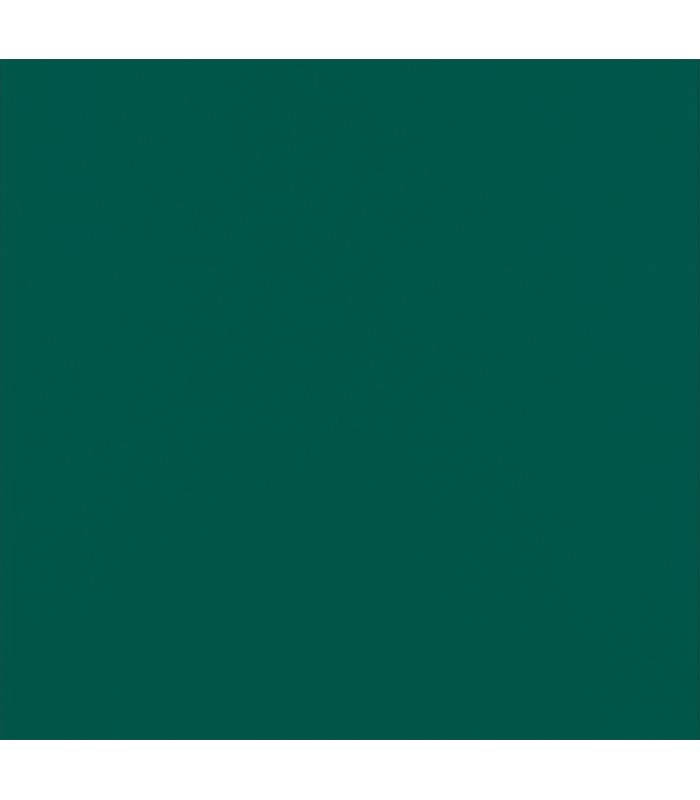 Serviette micro point verte 2 plis  380x380mm - 1200Pcs
