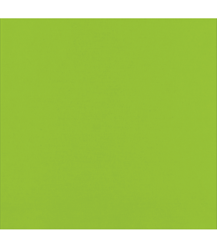 Serviette micro point vert citron 2 plis  380x380mm - 1200Pcs