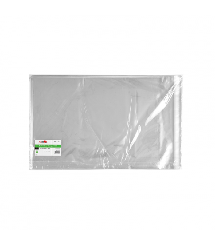 Sachet Klever refermable BOPP  555x405mm H100mm - 1000Pcs