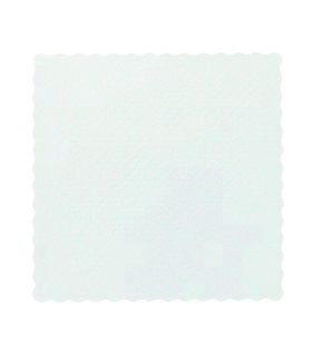 Serviette ouate blanche 1 pli  170x170mm -500Pcs