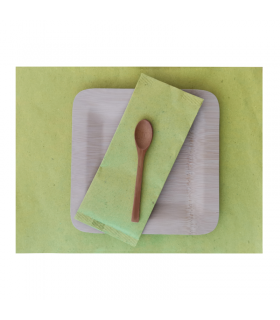 Set de plateau papier vert  300x400mm -250Pcs