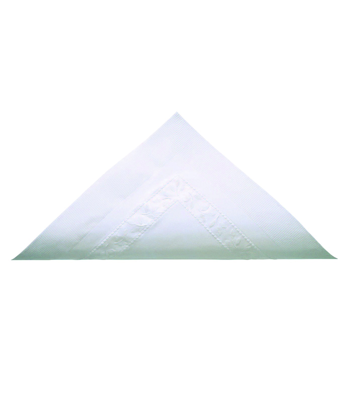 Serviette ouate blanche 2 plis  380x380mm -100Pcs