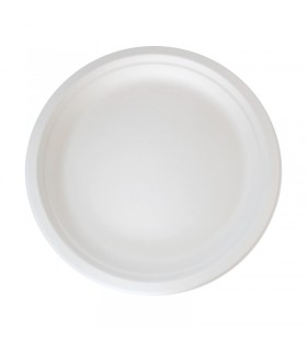 Assiette ronde blanche en pulpe